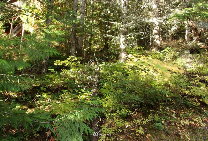 0 Lot 89 Winter Park, Easton, Washington 98925, ,Land,For Sale,Kachess 1,Winter Park,NWM1848233