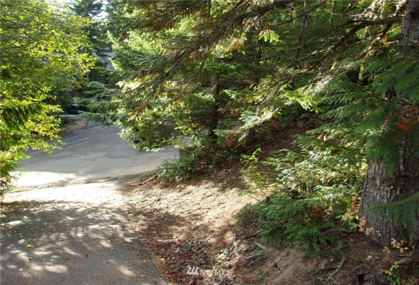 0 Lot 89 Winter Park, Easton, Washington 98925, ,Land,For Sale,Kachess 1,Winter Park,NWM1848233