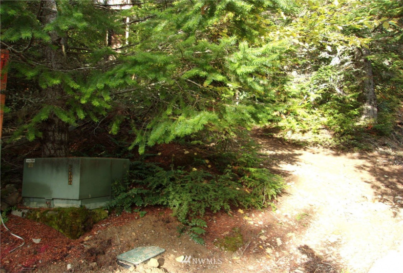 0 Lot 89 Winter Park, Easton, Washington 98925, ,Land,For Sale,Kachess 1,Winter Park,NWM1848233