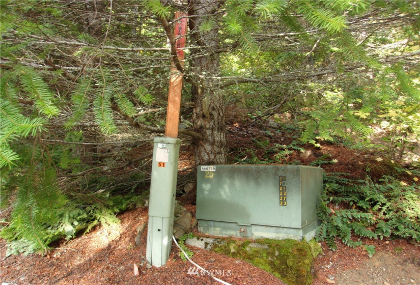 0 Lot 89 Winter Park, Easton, Washington 98925, ,Land,For Sale,Kachess 1,Winter Park,NWM1848233