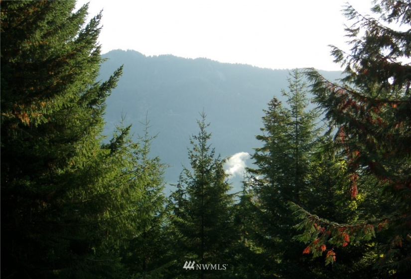 0 Lot 89 Winter Park, Easton, Washington 98925, ,Land,For Sale,Kachess 1,Winter Park,NWM1848233