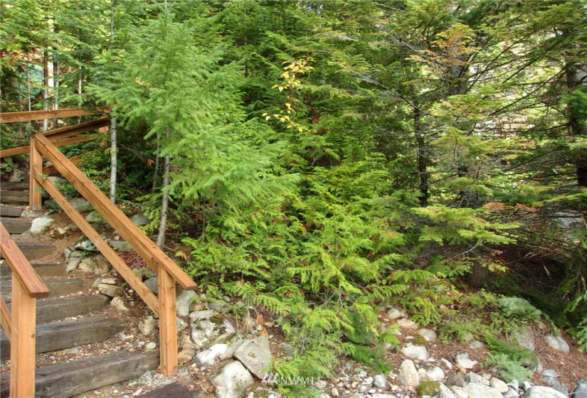 0 Lot 89 Winter Park, Easton, Washington 98925, ,Land,For Sale,Kachess 1,Winter Park,NWM1848233