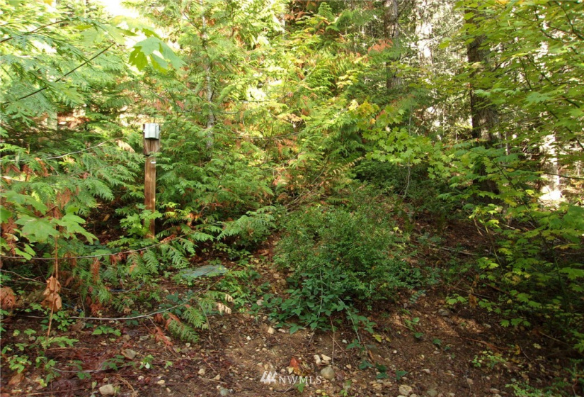 0 Lot 89 Winter Park, Easton, Washington 98925, ,Land,For Sale,Kachess 1,Winter Park,NWM1848233