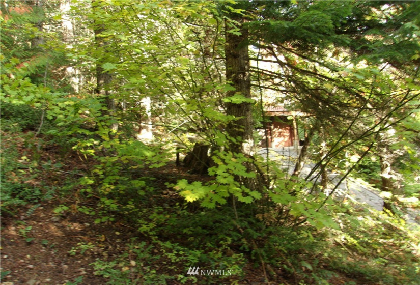 0 Lot 89 Winter Park, Easton, Washington 98925, ,Land,For Sale,Kachess 1,Winter Park,NWM1848233