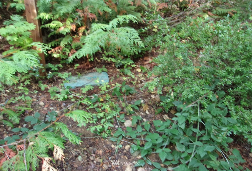 0 Lot 89 Winter Park, Easton, Washington 98925, ,Land,For Sale,Kachess 1,Winter Park,NWM1848233