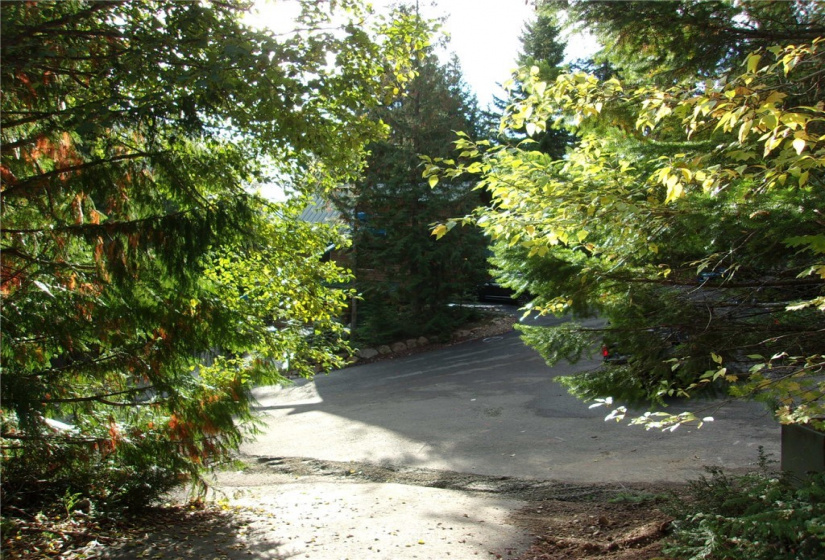 0 Lot 89 Winter Park, Easton, Washington 98925, ,Land,For Sale,Kachess 1,Winter Park,NWM1848233