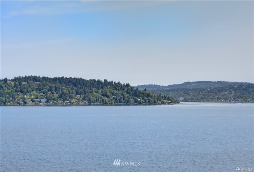 9837 Rainier, Seattle, Washington 98118, 3 Bedrooms Bedrooms, ,2 BathroomsBathrooms,Residential Lease,For Rent,Rainier,NWM1848123