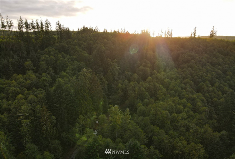 27010 State Road 165, Carbonado, Washington 98323, ,Land,For Sale,State Road 165,NWM1847562