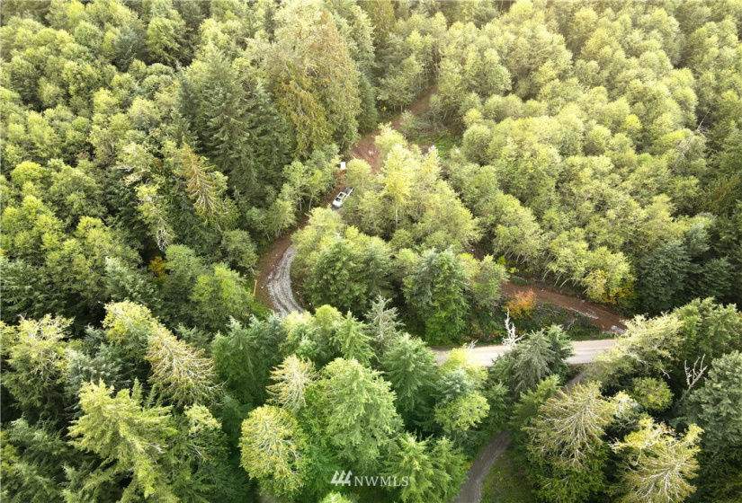 27010 State Road 165, Carbonado, Washington 98323, ,Land,For Sale,State Road 165,NWM1847562