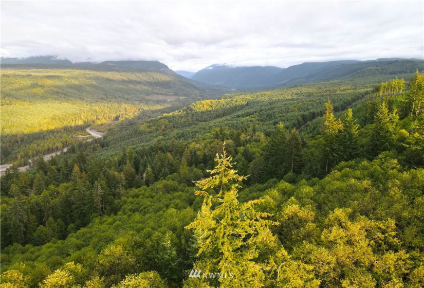 27010 State Road 165, Carbonado, Washington 98323, ,Land,For Sale,State Road 165,NWM1847562