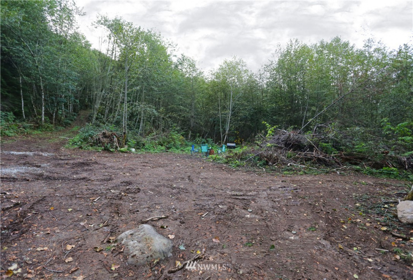 27010 State Road 165, Carbonado, Washington 98323, ,Land,For Sale,State Road 165,NWM1847562