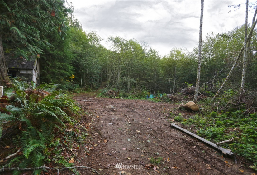 27010 State Road 165, Carbonado, Washington 98323, ,Land,For Sale,State Road 165,NWM1847562