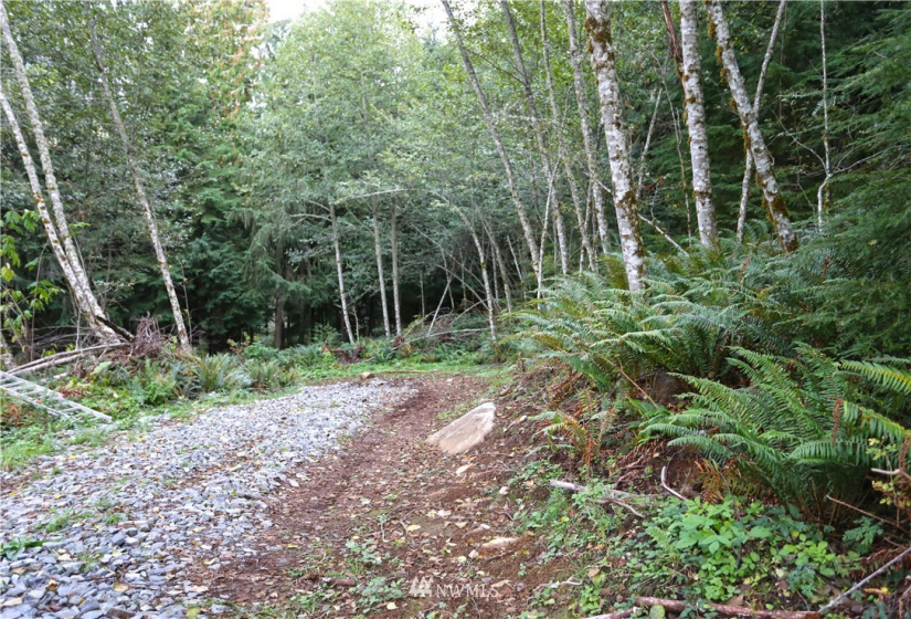 27010 State Road 165, Carbonado, Washington 98323, ,Land,For Sale,State Road 165,NWM1847562