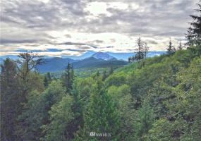 27010 State Road 165, Carbonado, Washington 98323, ,Land,For Sale,State Road 165,NWM1847562