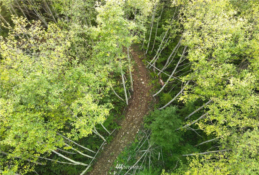27010 State Road 165, Carbonado, Washington 98323, ,Land,For Sale,State Road 165,NWM1847562