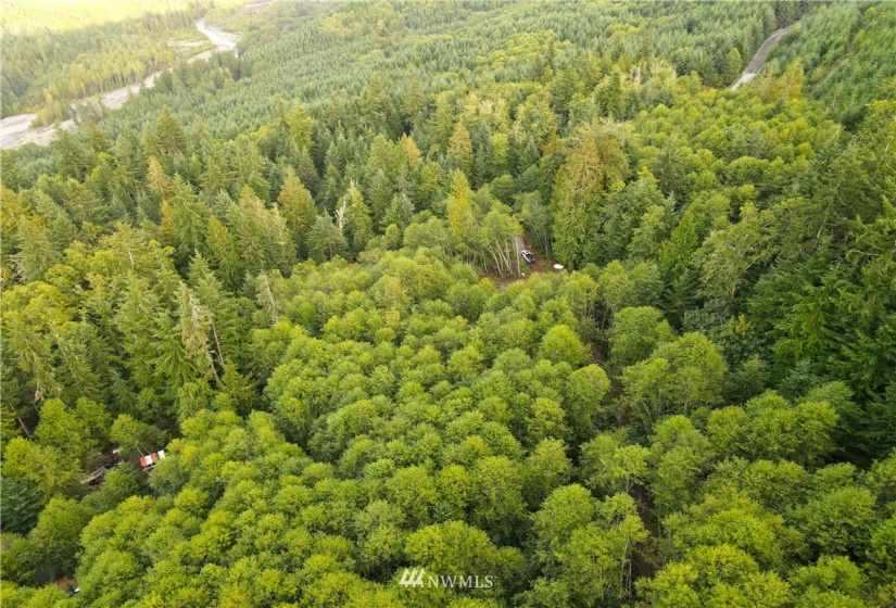 27010 State Road 165, Carbonado, Washington 98323, ,Land,For Sale,State Road 165,NWM1847562