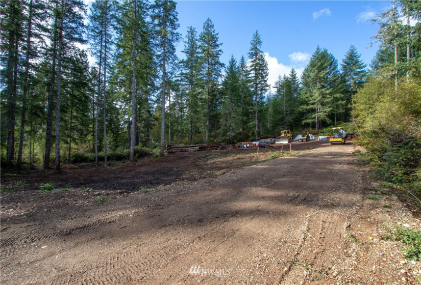 41 Coon, Belfair, Washington 98528, ,Land,For Sale,Coon,NWM1847289