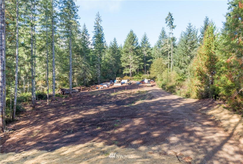 41 Coon, Belfair, Washington 98528, ,Land,For Sale,Coon,NWM1847289