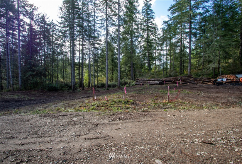 41 Coon, Belfair, Washington 98528, ,Land,For Sale,Coon,NWM1847289