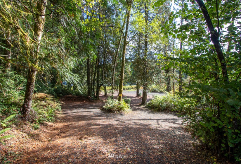 41 Coon, Belfair, Washington 98528, ,Land,For Sale,Coon,NWM1847289