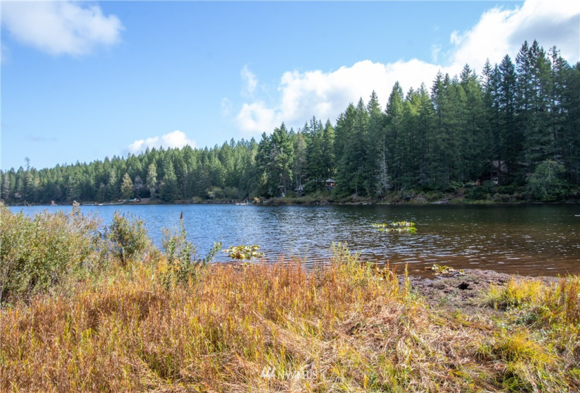 41 Coon, Belfair, Washington 98528, ,Land,For Sale,Coon,NWM1847289