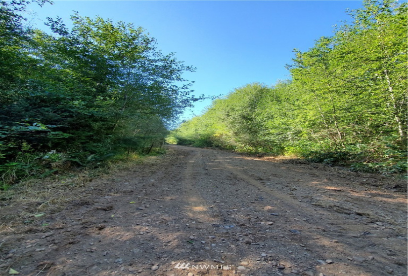 9999 Goodman Mainline Lot A, Forks, Washington 98331, ,Land,For Sale,Goodman Mainline Lot A,NWM1847087