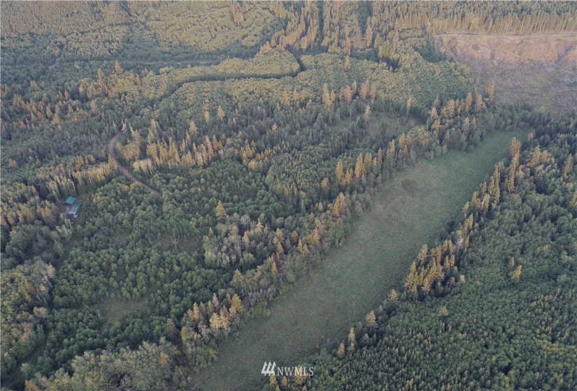 9999 Goodman Mainline Lot A, Forks, Washington 98331, ,Land,For Sale,Goodman Mainline Lot A,NWM1847087