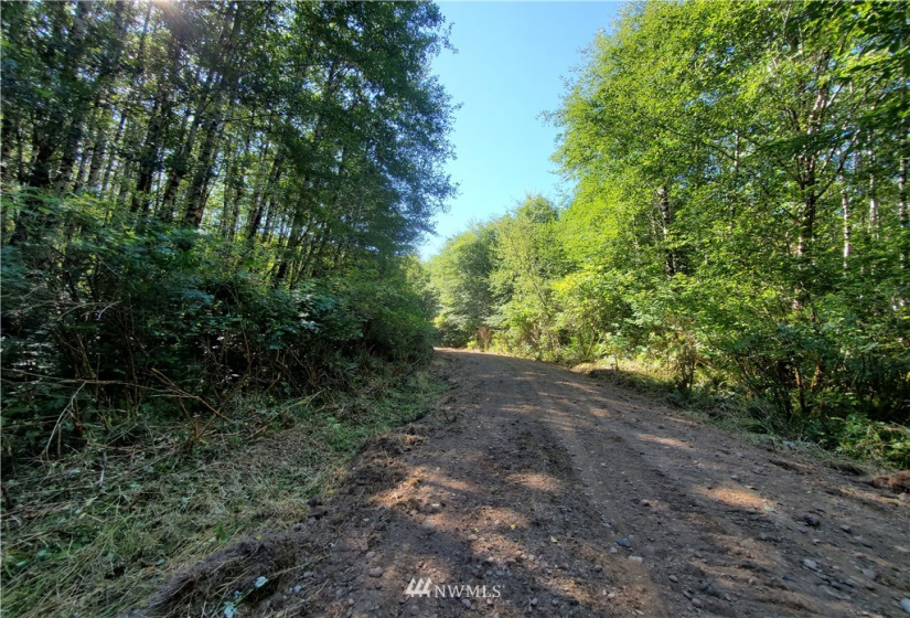 9999 Goodman Mainline Lot A, Forks, Washington 98331, ,Land,For Sale,Goodman Mainline Lot A,NWM1847087