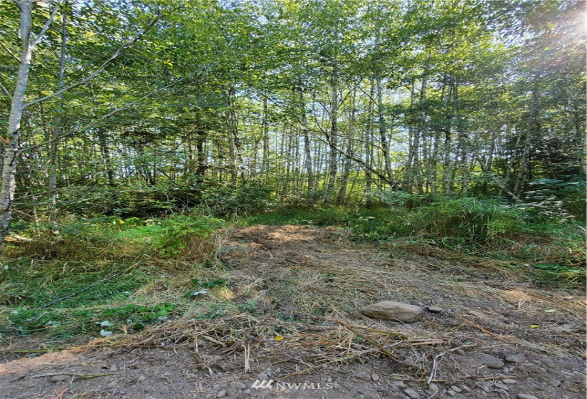 9999 Goodman Mainline Lot A, Forks, Washington 98331, ,Land,For Sale,Goodman Mainline Lot A,NWM1847087