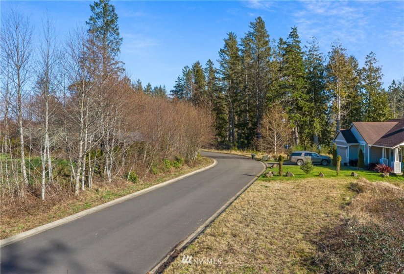 16 Lot 16 Sunrise, South Bend, Washington 98586, ,Land,For Sale,Lake in the Woods,Lot 16 Sunrise,NWM1848642