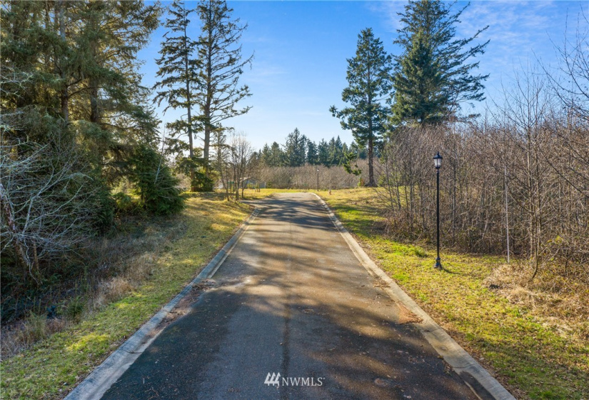 16 Lot 16 Sunrise, South Bend, Washington 98586, ,Land,For Sale,Lake in the Woods,Lot 16 Sunrise,NWM1848642