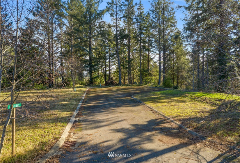 16 Lot 16 Sunrise, South Bend, Washington 98586, ,Land,For Sale,Lake in the Woods,Lot 16 Sunrise,NWM1848642