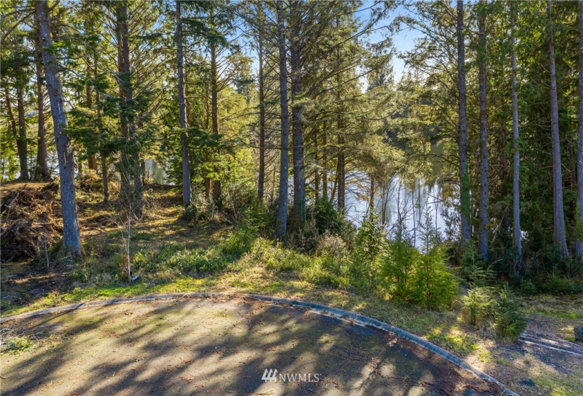 16 Lot 16 Sunrise, South Bend, Washington 98586, ,Land,For Sale,Lake in the Woods,Lot 16 Sunrise,NWM1848642