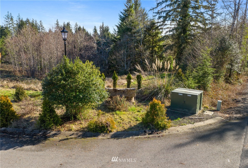 16 Lot 16 Sunrise, South Bend, Washington 98586, ,Land,For Sale,Lake in the Woods,Lot 16 Sunrise,NWM1848642