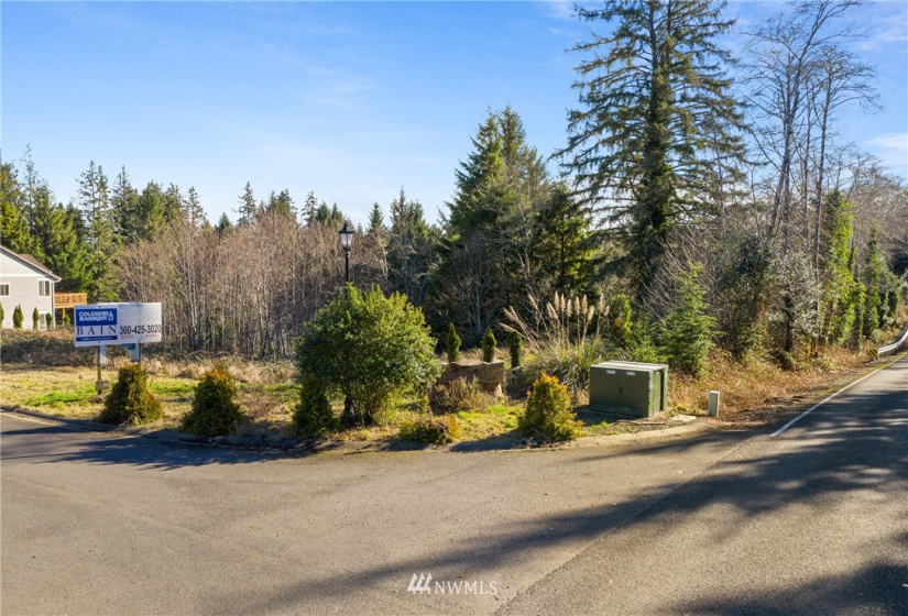 16 Lot 16 Sunrise, South Bend, Washington 98586, ,Land,For Sale,Lake in the Woods,Lot 16 Sunrise,NWM1848642