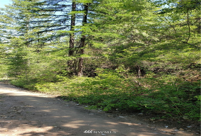 3478 Moore, Kettle Falls, Washington 99141, ,Land,For Sale,Moore,NWM1848875