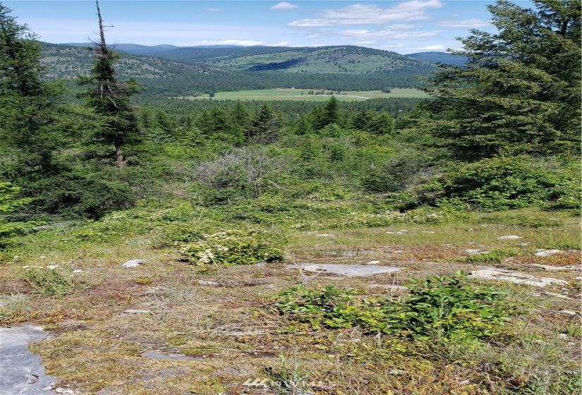 3478 Moore, Kettle Falls, Washington 99141, ,Land,For Sale,Moore,NWM1848875