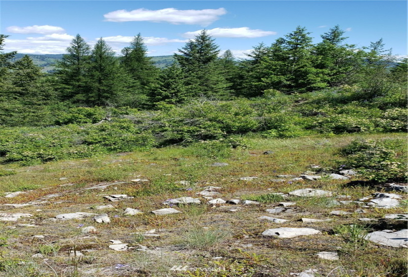 3478 Moore, Kettle Falls, Washington 99141, ,Land,For Sale,Moore,NWM1848875