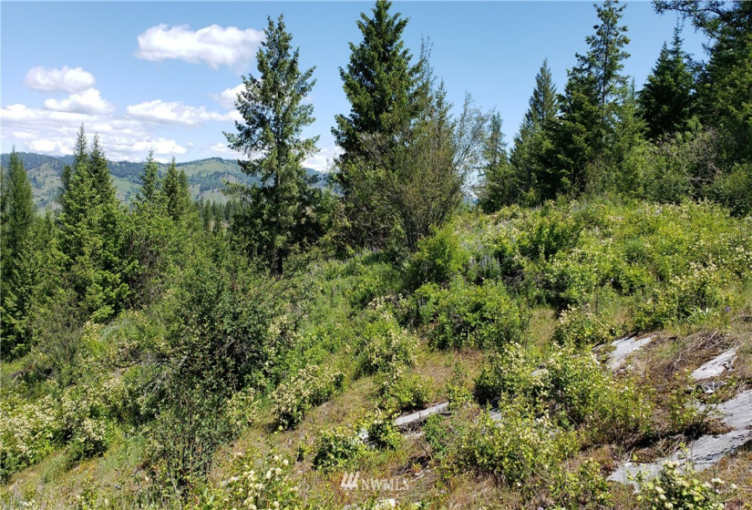 3478 Moore, Kettle Falls, Washington 99141, ,Land,For Sale,Moore,NWM1848875