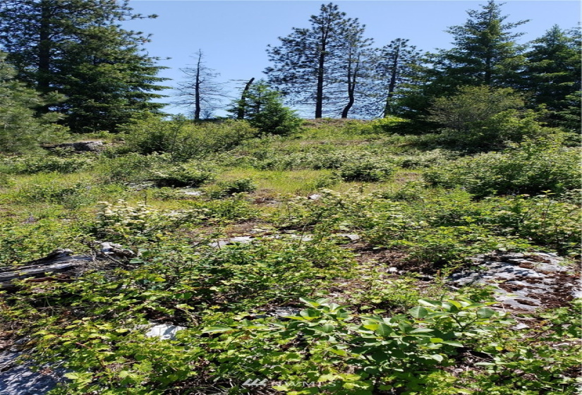 3478 Moore, Kettle Falls, Washington 99141, ,Land,For Sale,Moore,NWM1848875