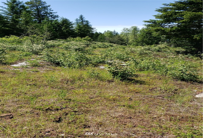 3478 Moore, Kettle Falls, Washington 99141, ,Land,For Sale,Moore,NWM1848875