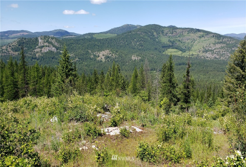 3478 Moore, Kettle Falls, Washington 99141, ,Land,For Sale,Moore,NWM1848875