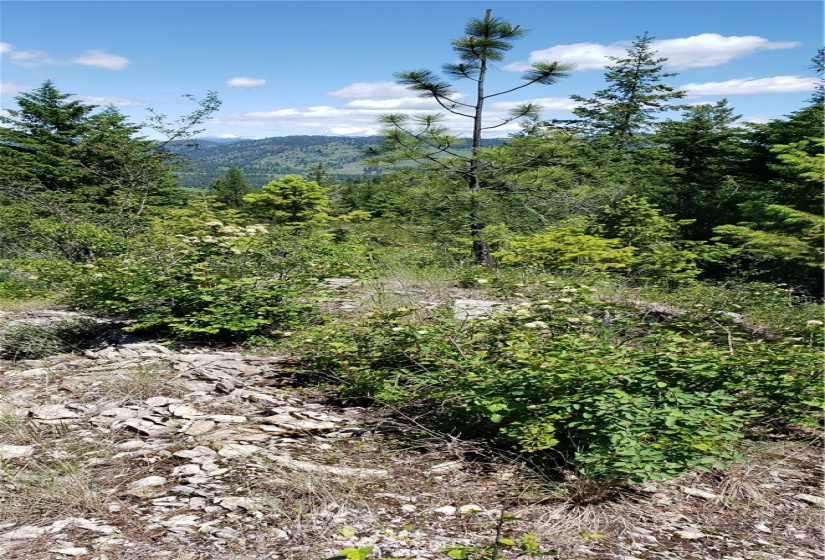 3478 Moore, Kettle Falls, Washington 99141, ,Land,For Sale,Moore,NWM1848875