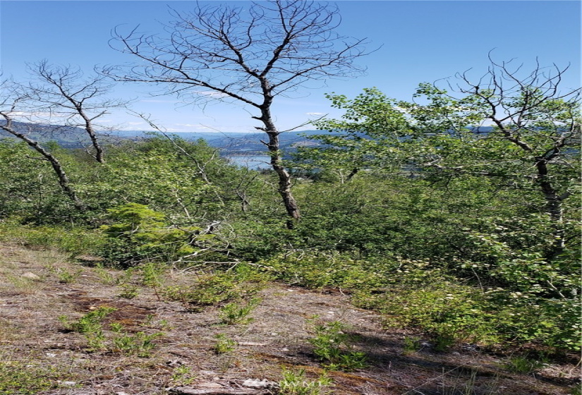 3478 Moore, Kettle Falls, Washington 99141, ,Land,For Sale,Moore,NWM1848875