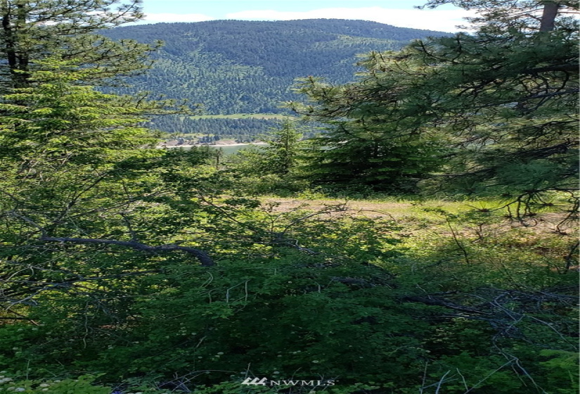 3478 Moore, Kettle Falls, Washington 99141, ,Land,For Sale,Moore,NWM1848875