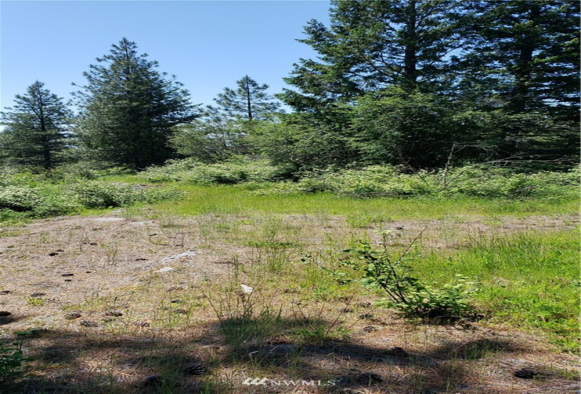 3478 Moore, Kettle Falls, Washington 99141, ,Land,For Sale,Moore,NWM1848875