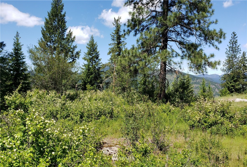 3478 Moore, Kettle Falls, Washington 99141, ,Land,For Sale,Moore,NWM1848875