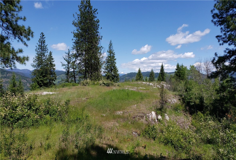 3478 Moore, Kettle Falls, Washington 99141, ,Land,For Sale,Moore,NWM1848875