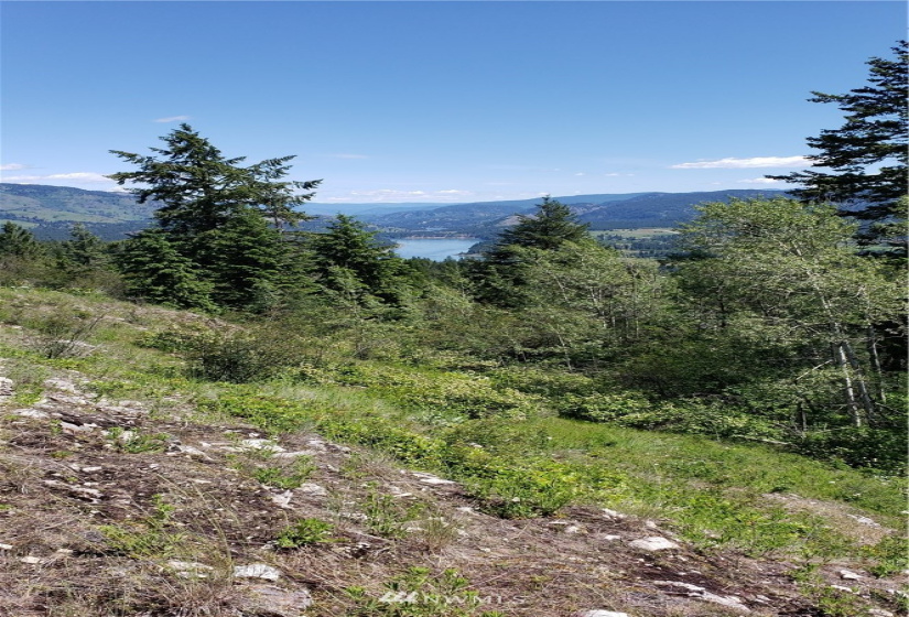 3478 Moore, Kettle Falls, Washington 99141, ,Land,For Sale,Moore,NWM1848875