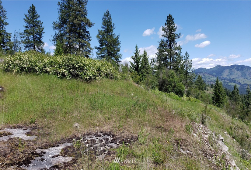 3478 Moore, Kettle Falls, Washington 99141, ,Land,For Sale,Moore,NWM1848875